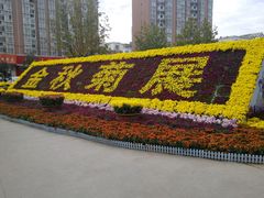 android_upload_pic-宝鸡植物园