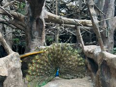 -长鹿旅游休博园
