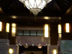 吊灯-宜春明月山维景国际温泉度假酒店