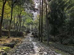-仙霞关景区