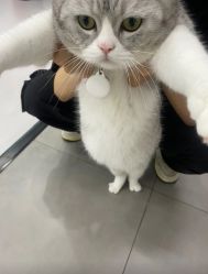 -wow舞蹈培训