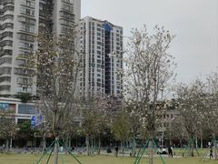 -人民广场