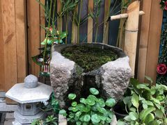 -六本目日式料理(珊瑚沙家园店)