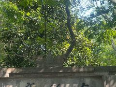 -敬亭山风景名胜区