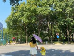 -太湖之星水上摩天轮-停车场