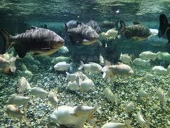 -成都浩海立方海洋公园