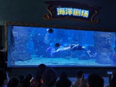 -南昌海洋公园