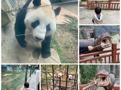 -贵州森林野生动物园