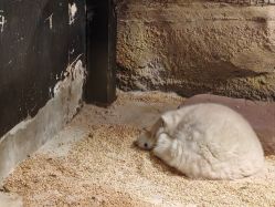 点击看大图 -酷嗒动物文化乐园(cutezoo西溪乐天城店)