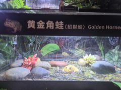 -重庆欢乐海底世界