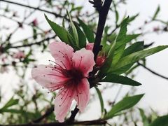 -苏堤停车场
