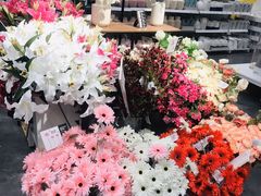 -宜家家居(哈尔滨商场店)