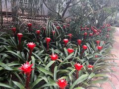 -南山植物园