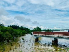 -宝安西湾红树林湿地公园