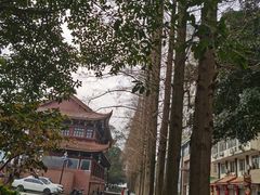 -海汇源老烧麦店(东大街总店)