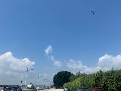 -大湾区中央湿地公园-十九涌