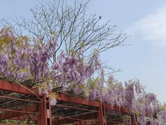 -浙江农林大学(东湖校区)