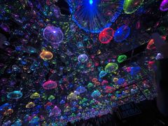 -上海梵高星空艺术馆(南京路旗舰店)