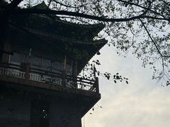 -榴花公园