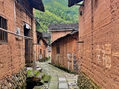 -杨家堂村