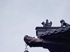 -杭州半山国家森林公园