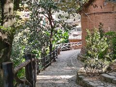 -杨家堂村