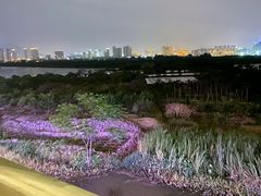 -三垟湿地