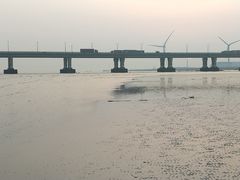 -南汇新城海滩