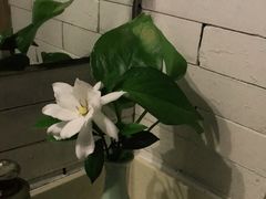 -西院1号(龙井店)