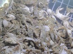 -聚盛源蒸汽海鲜火锅烤肉自助(巨川金海岸购物广场店)