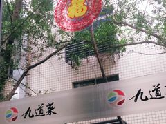 -九道菜有鸡鱼头(石鼓路店)