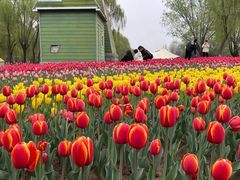 -石家庄市植物园