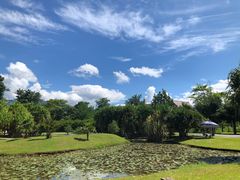 -中国科学院西双版纳热带植物园