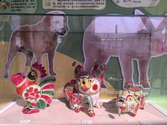 -陕西自然博物馆