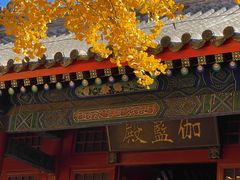 -红螺寺