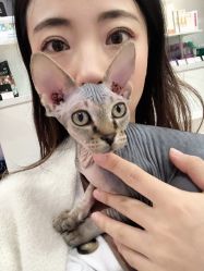 -欧扬医疗美容