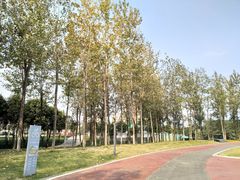 -府河摄影公园
