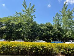 -紫颐香薰山谷景区