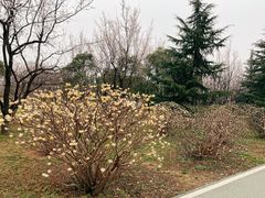 -洨河生态公园