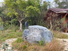 -普洱太阳河森林公园