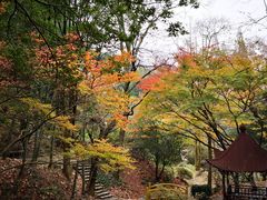 -莫干山风景区