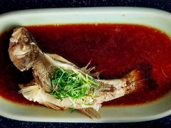 清蒸鲈鱼-眉州东坡(博雅店)