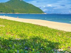 -西涌国际滨海旅游区