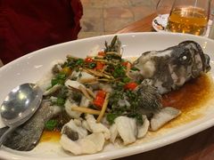 -顺德了能馆(虎门店)