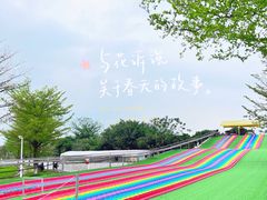 -长洲岛