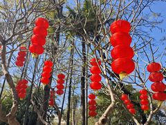 -蟹山公园