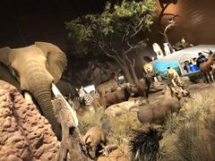 -贝林大翅鲸简餐厅(国家海洋博物馆店)