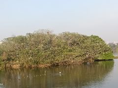-海珠湖公园
