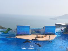 -香港海洋公园