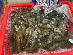 -舟山小海鲜大排档(稻香新村店)